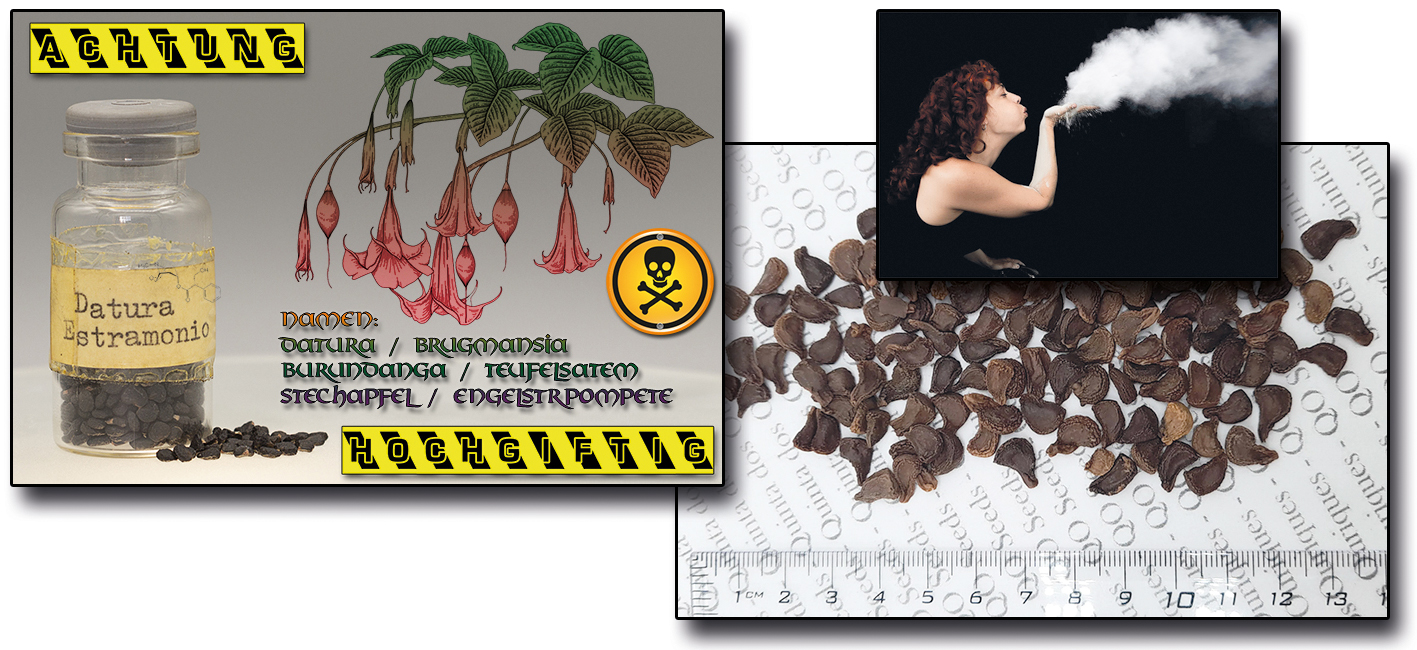 Datura